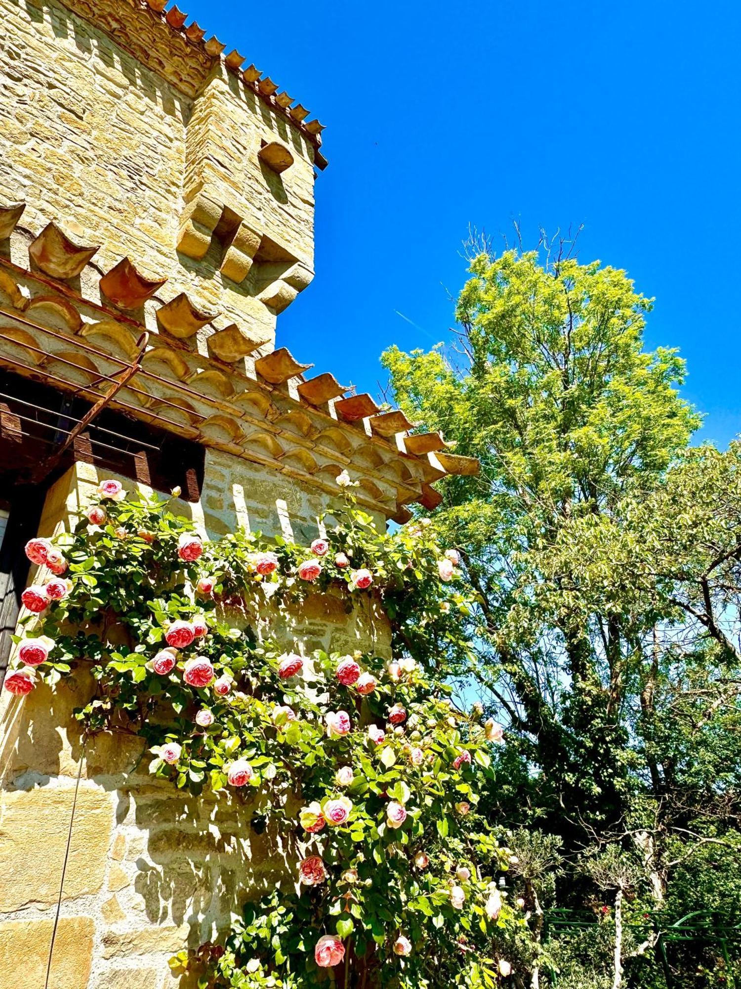 Chateau De Tournou Castelreng Exterior photo